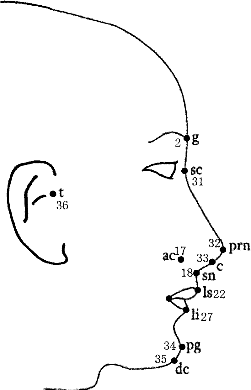 Three-dimensional face model adjusting method