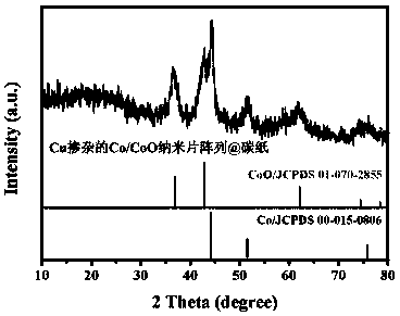 Preparation method of transition metal oxide nanosheet array @ carbon paper electrode