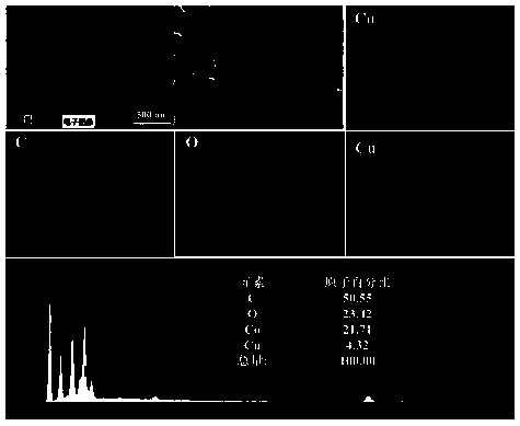 Preparation method of transition metal oxide nanosheet array @ carbon paper electrode