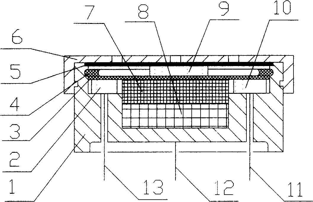 Complete solid carbon dioxide electrochemical sensor