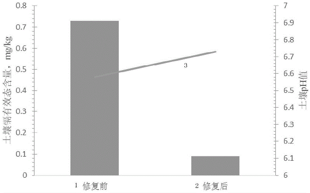 Neutral soil cadmium passivator and application method thereof