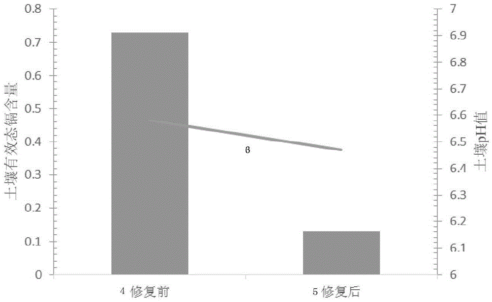 Neutral soil cadmium passivator and application method thereof