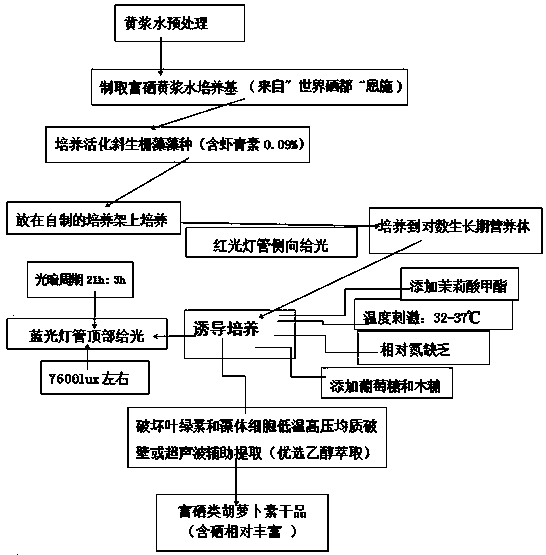 Method for producing natural carotenoids by scenedesmus obliquus culture