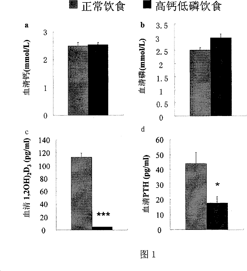 Calcium-phosphorus mixture and its use