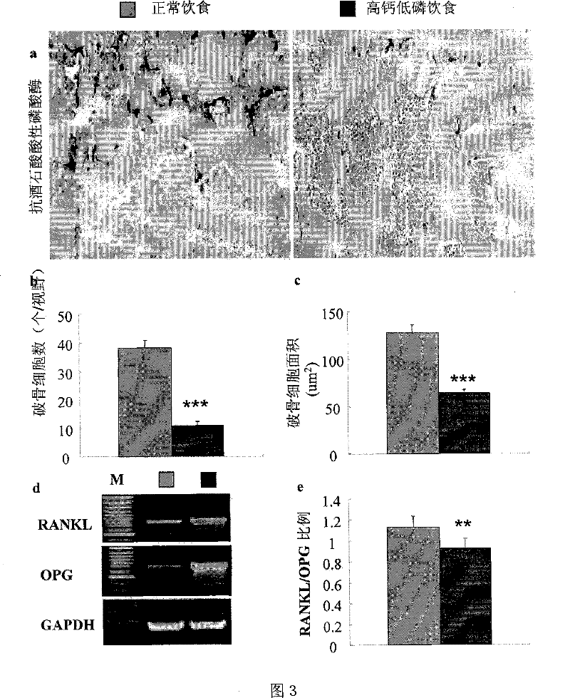 Calcium-phosphorus mixture and its use