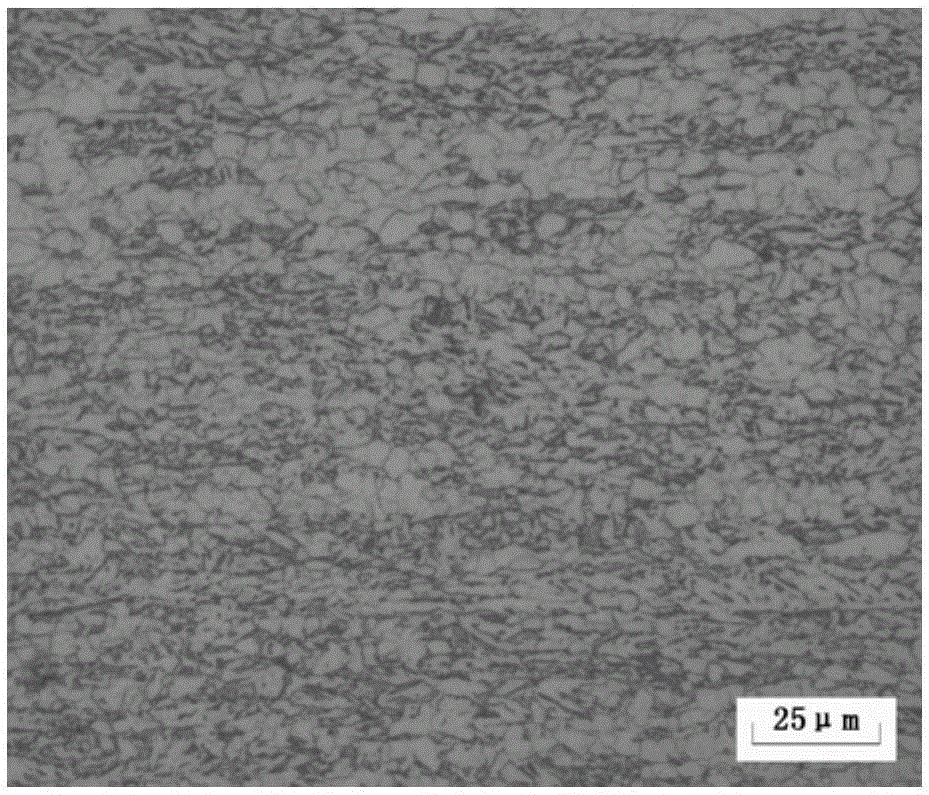 Strain design region based high-performance pipeline steel with high-deformation resistance and preparation method