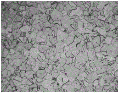 Metallographic-phase corrosive liquid and corrosion method for austenite resisto