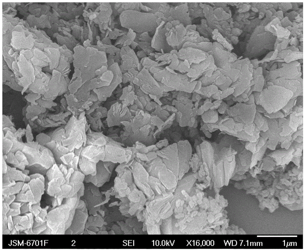 Hexagonal boron nitride/polypropylene polymer composite and preparation method