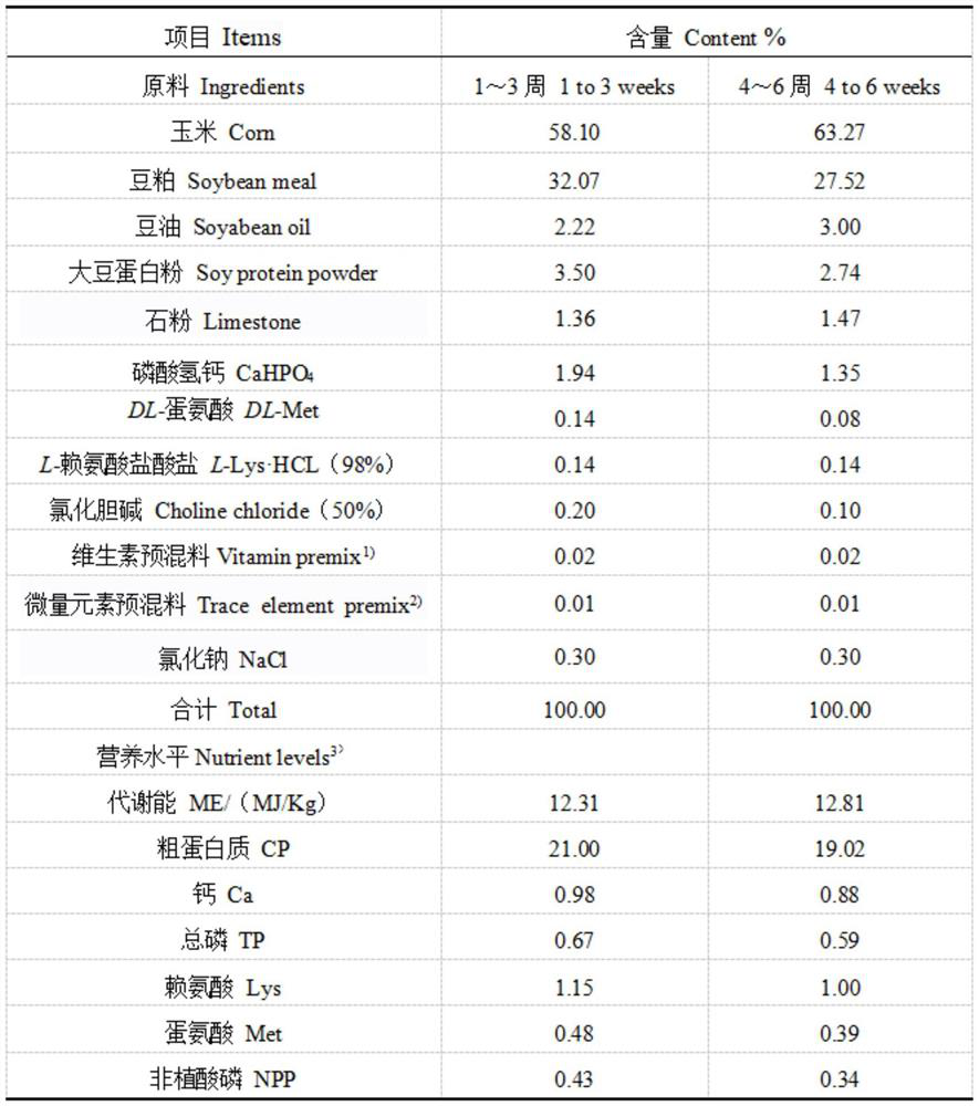 Healthy feeding method for cage rearing commercial broiler chickens