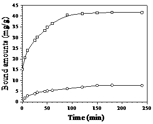 Preparation method of Fe3O4@PEG@SiO2 artificial antibody for detecting thifensulfuron methyl