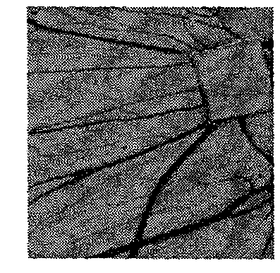 Isoquinolinone derivatives, and preparation method and medical purpose thereof