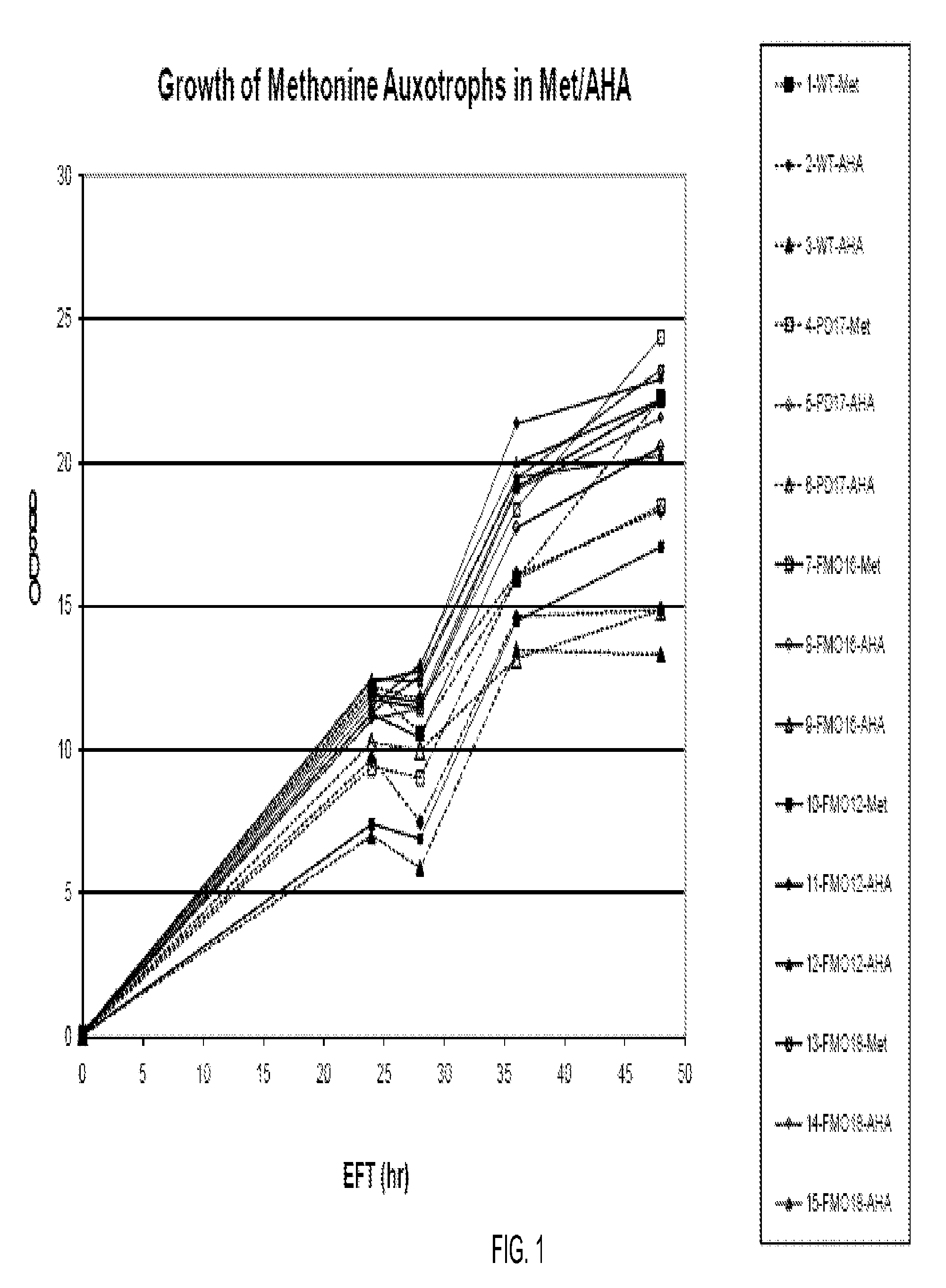 Production of recombinant proteins utilizing non-antibiotic selection methods and the incorporation of non-natural amino acids therein