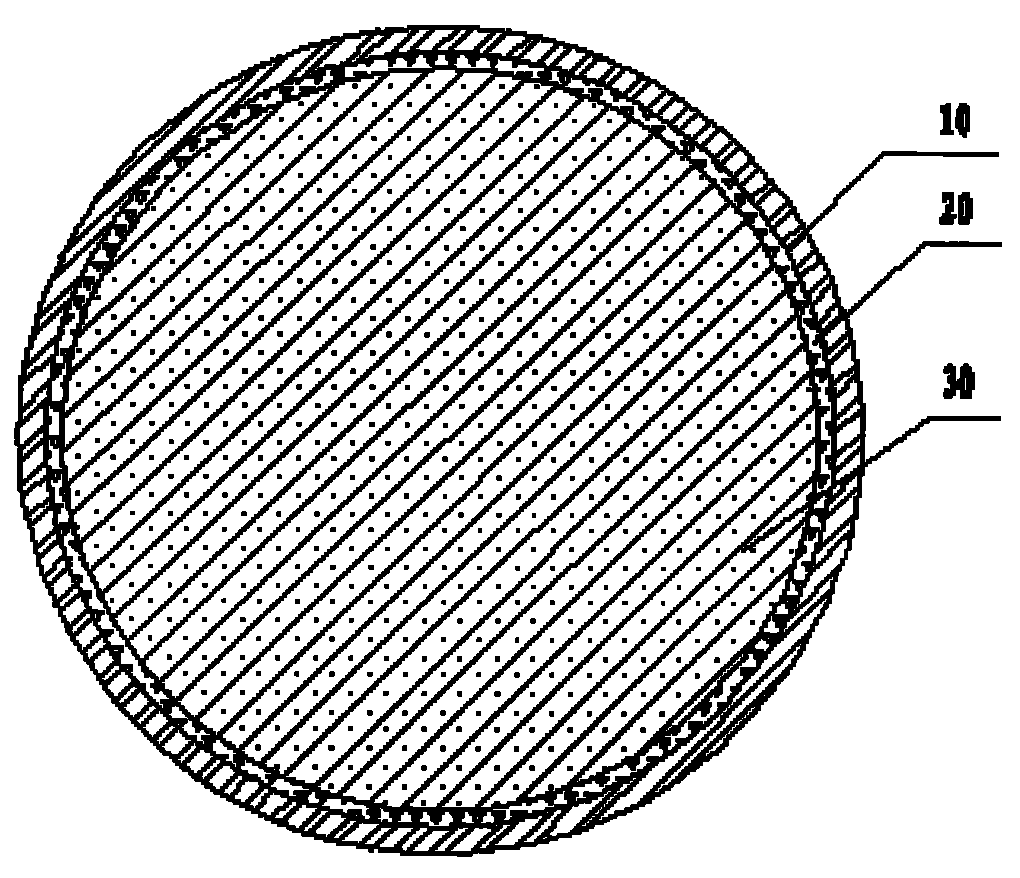 Sea-sand concrete member and manufacturing method thereof