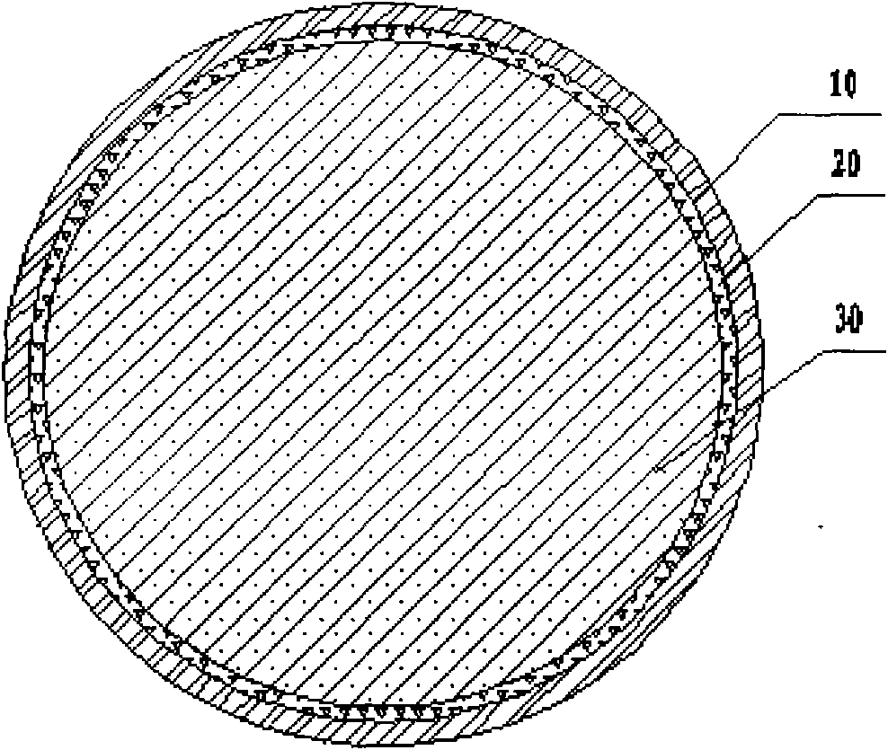 Sea-sand concrete member and manufacturing method thereof