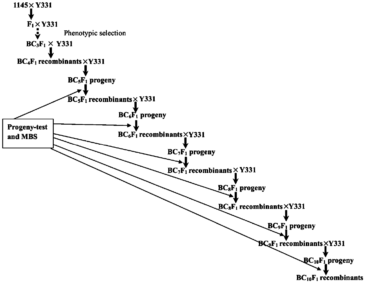 Cloning and Functional Analysis of Fusarium graminearum Stem Rot Resistance Gene zmauxrp1 in Maize