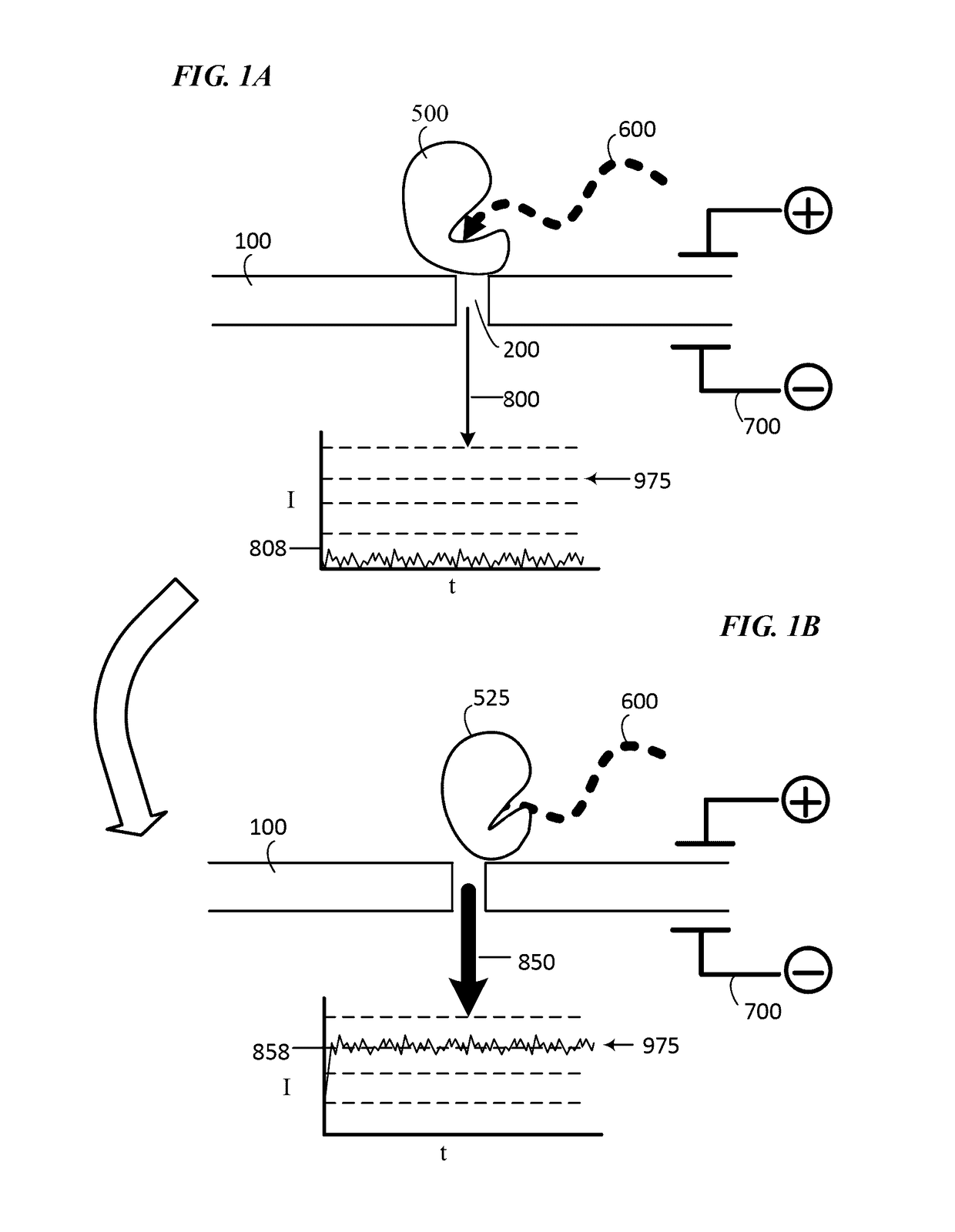 Single molecule nucleic acid sequencing with molecular sensor complexes