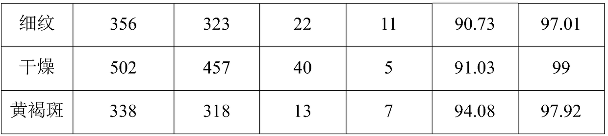 Traditional Chinese mask, skin care product composition, and preparation method thereof