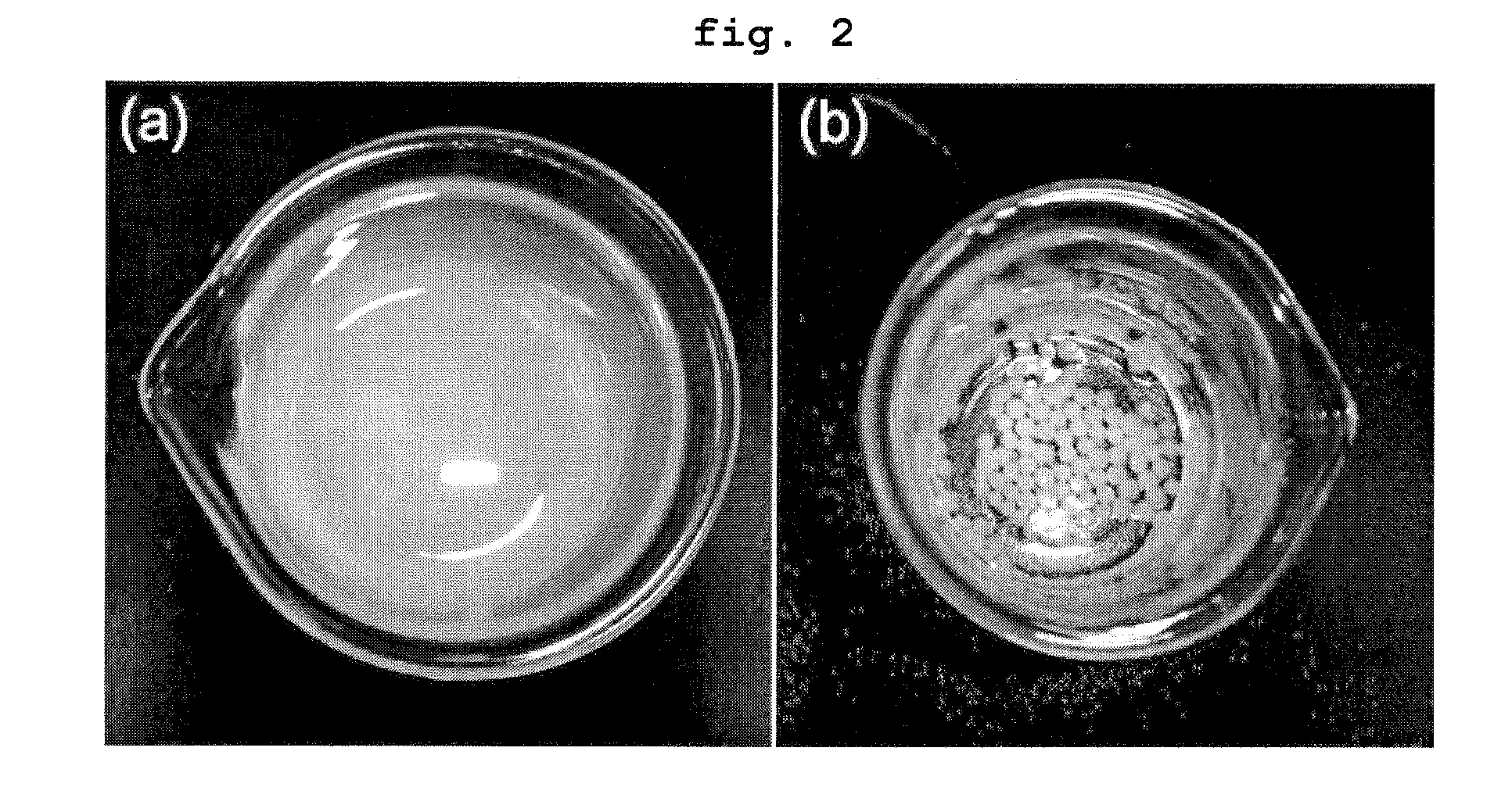 Porous material having hierarchical porous structure and preparation method thereof