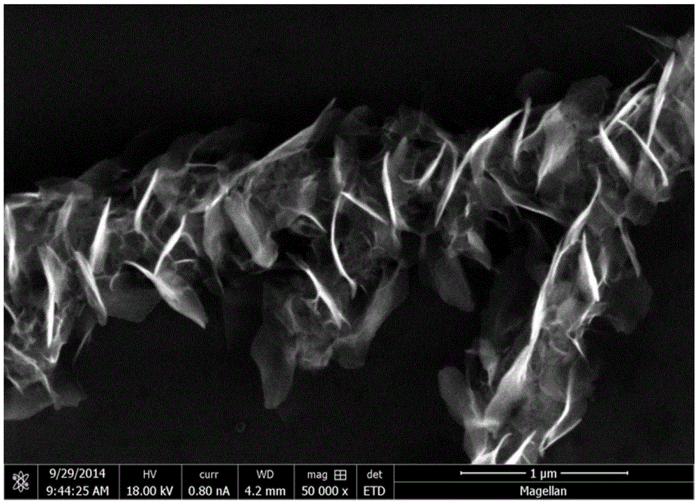 A kind of preparation method of au modified zn/zno micro-nano material