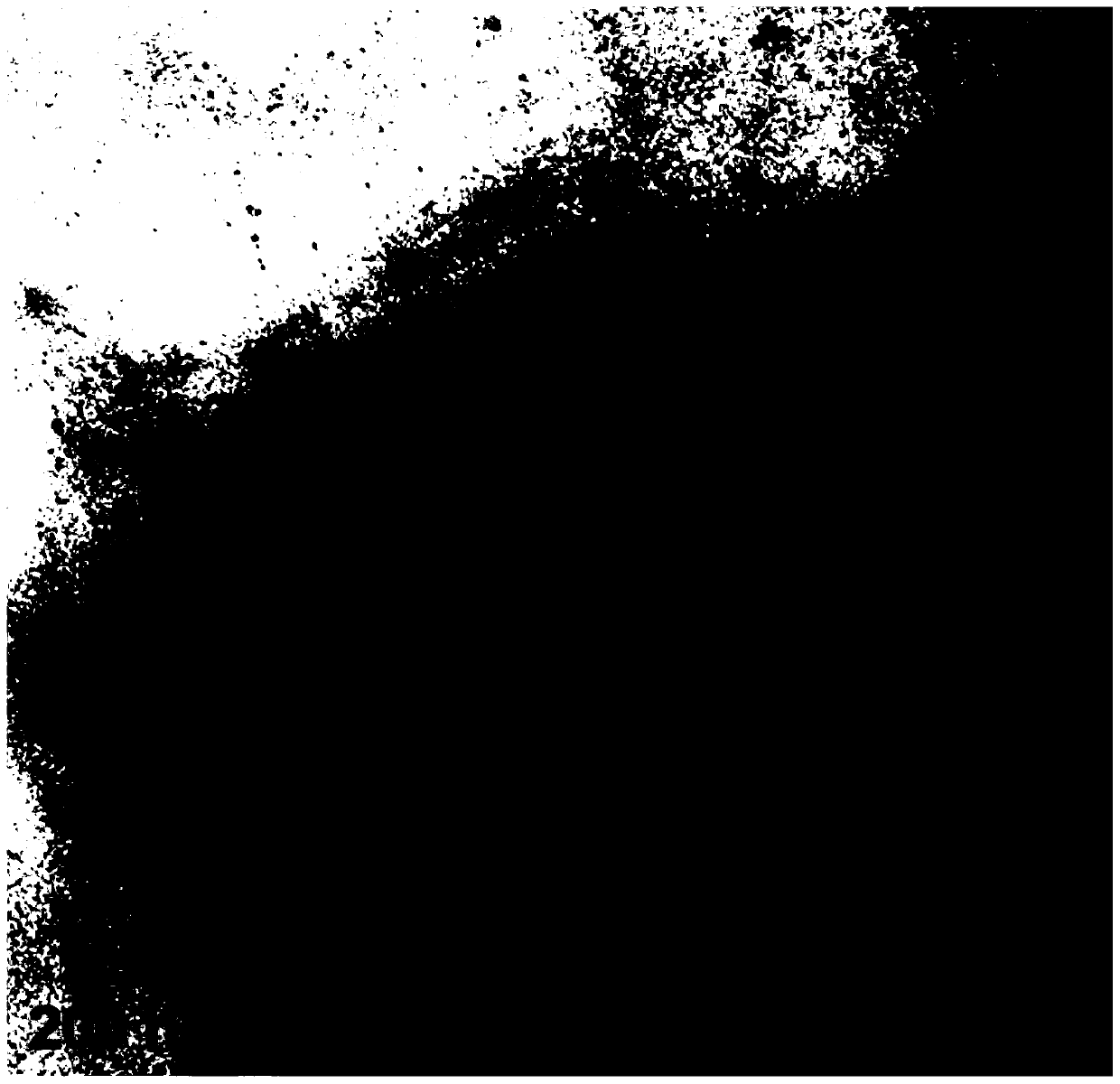 Polyethylene glycol modified selenoprotein-zinc sulfate nano-liposome preparation method and application