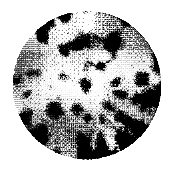 Method for evaluating safety of service bridge structure