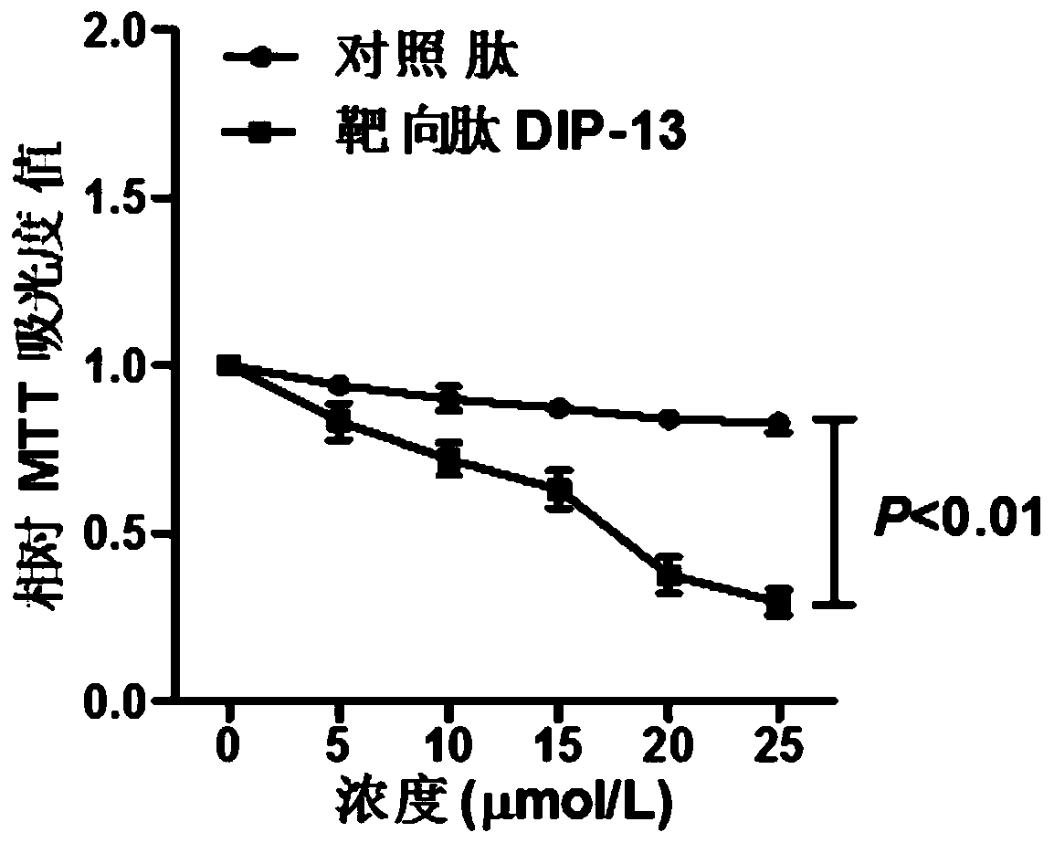 A kind of polypeptide dip-13 that can antagonize ddx3 protein RNA binding activity and its application