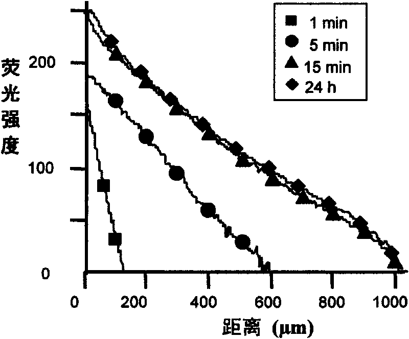 Micro-fluidic chip and method for research on oriented movement of cell in three-dimensional medium