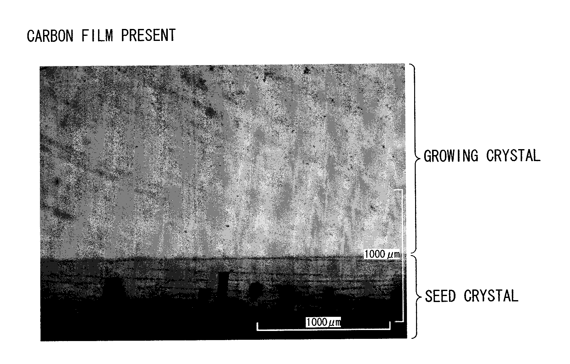 Seed crystal for silicon carbide single crystal growth, method for producing the seed crystal, silicon carbide single crystal, and method for producing the single crystal