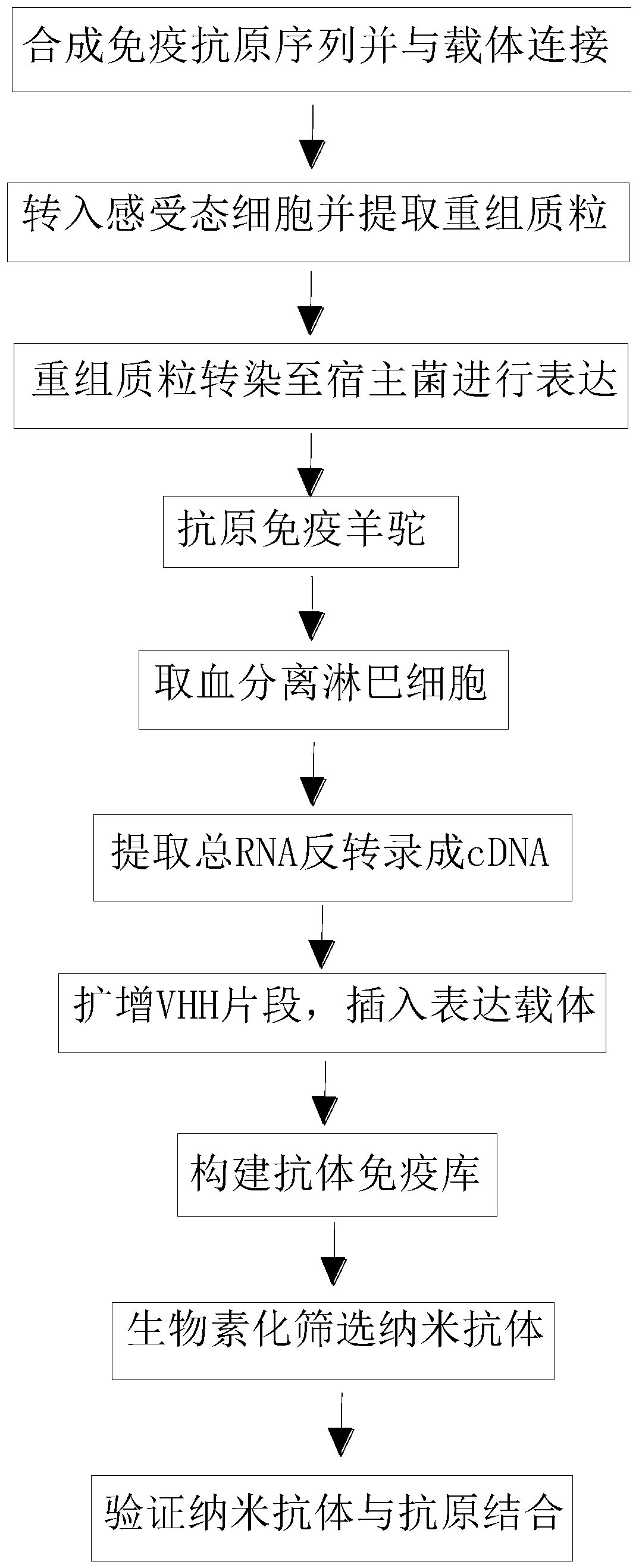 PD-1 (programmed death 1) nanoantibody and preparation method and application thereof