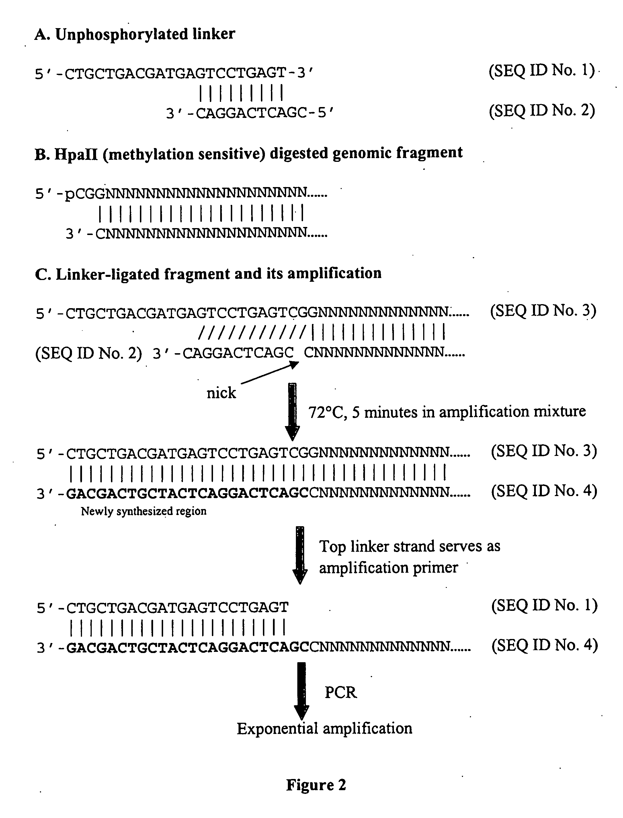 Assays for dna methylation changes