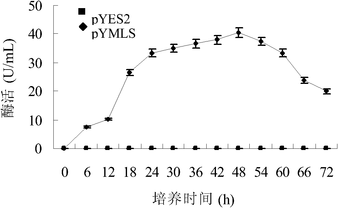 Method for catalytically synthesizing conjugated linoleic acid by saccharomyces cerevisiae display linoleic acid isomerase