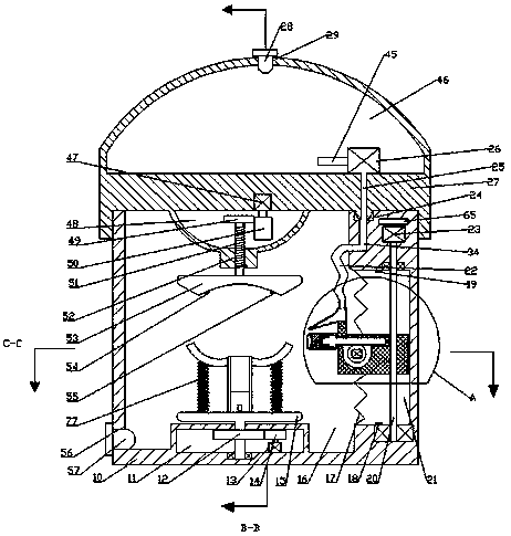 Improved fruit peeling device