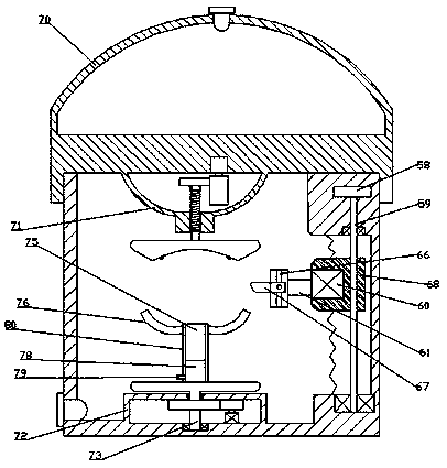 Improved fruit peeling device