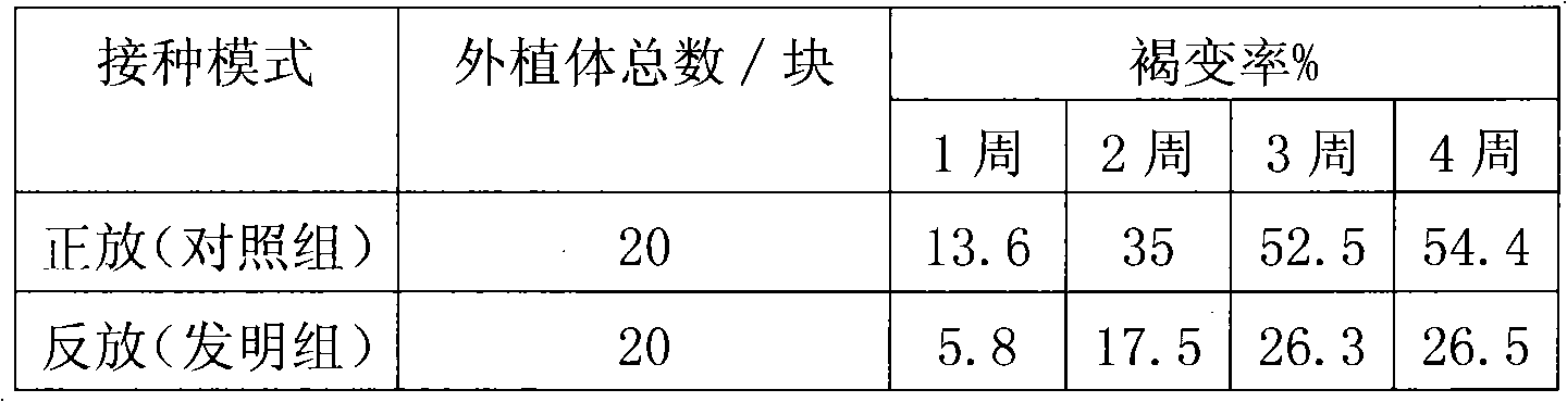 Inoculation method for tissue culture of Rieger Begonia