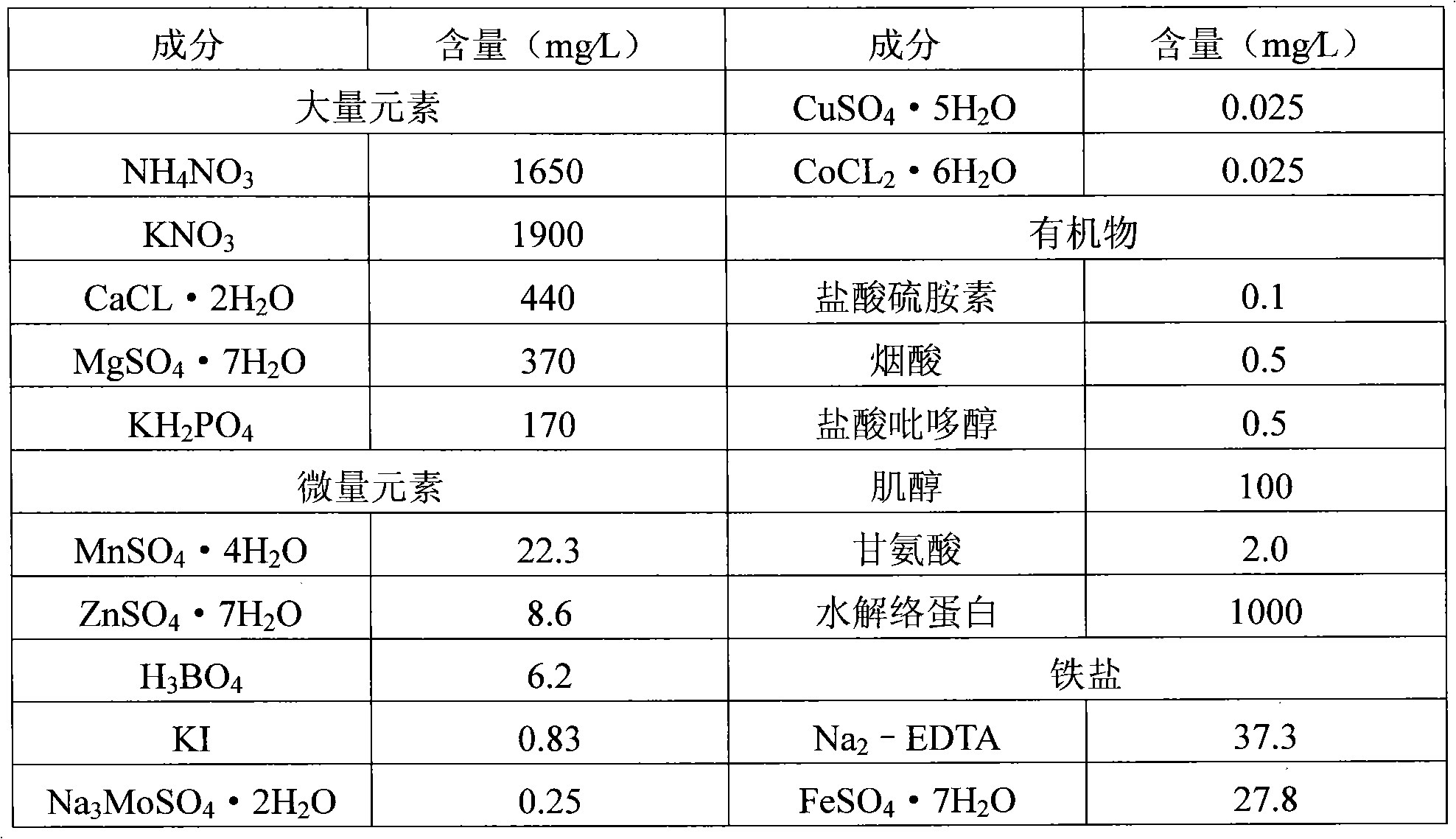 Inoculation method for tissue culture of Rieger Begonia