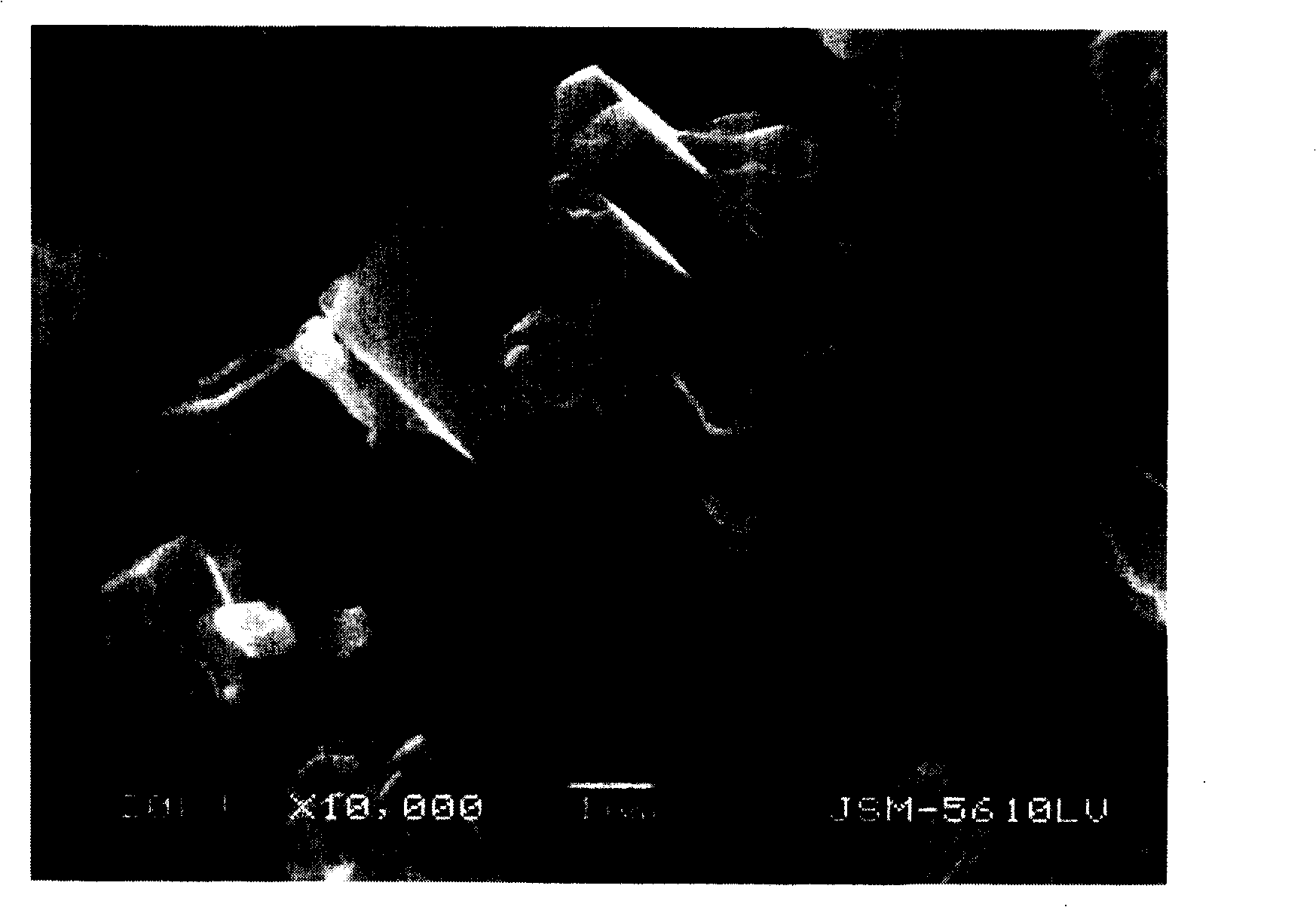 Method for preparing ferrous oxalate hydrated salt crystal