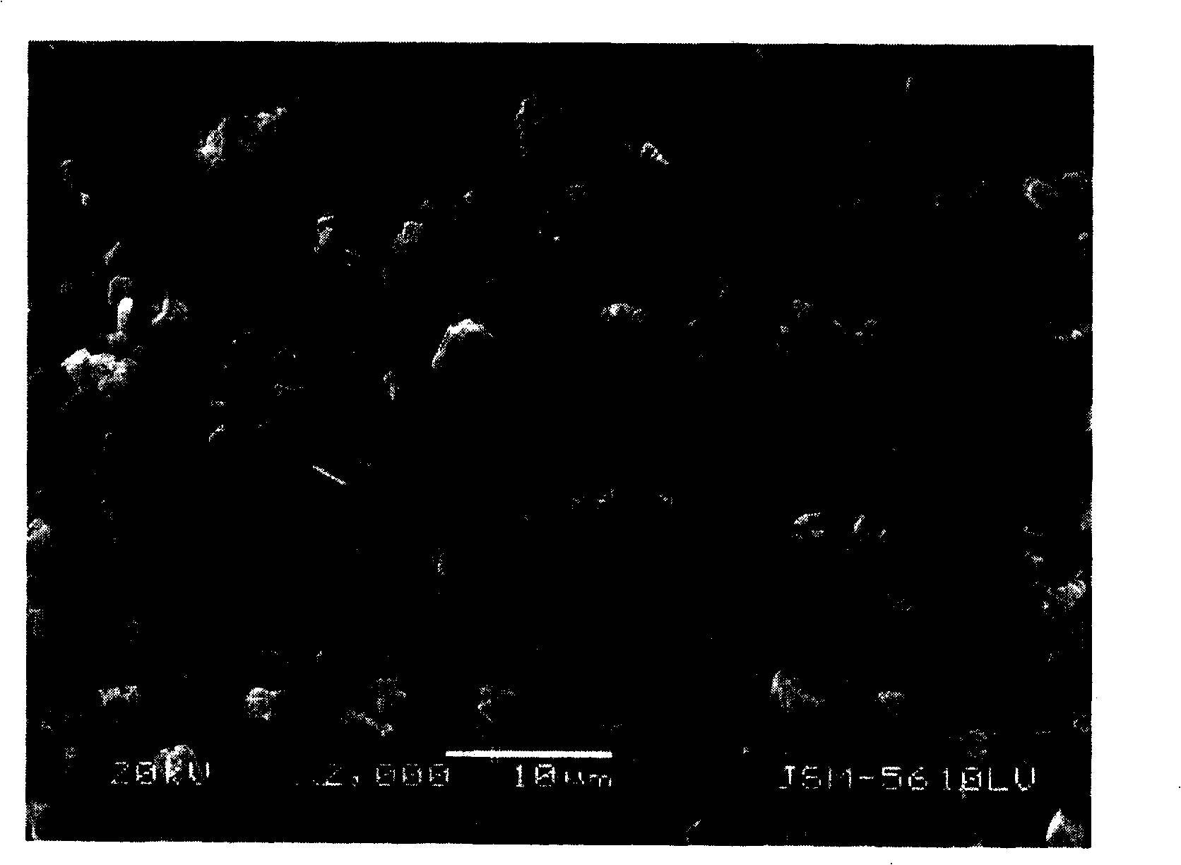 Method for preparing ferrous oxalate hydrated salt crystal