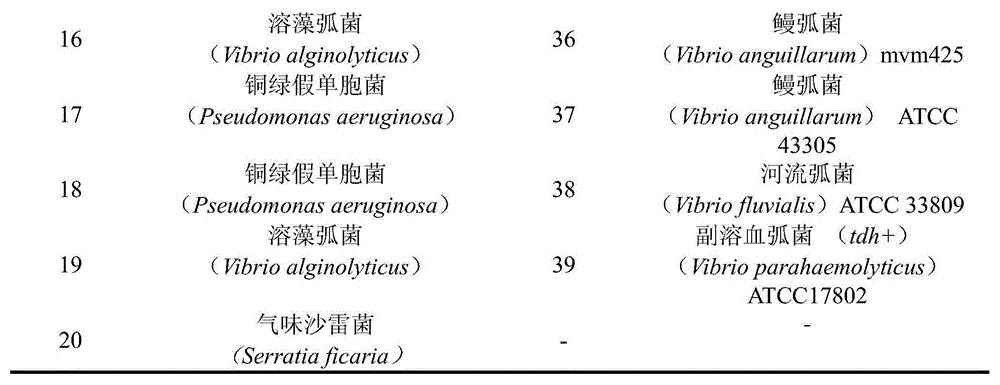 Lactic acid bacterium with wide-spectrum bacteriostatic activity and application thereof