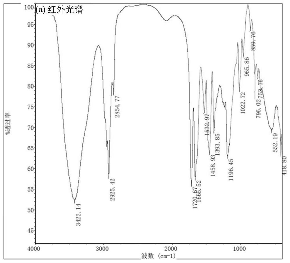 Advanced treatment magnetic resin for recycling sewage landscape containing two quaternary ammonium sites and capable of synchronously removing nitrogen and phosphorus and preparation method of advanced treatment magnetic resin