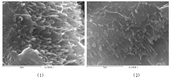 High-performance nano-composite material and preparation method thereof