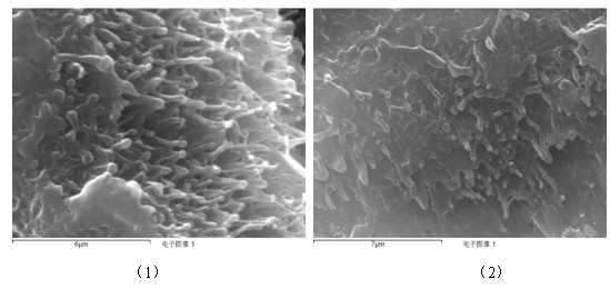 High-performance nano-composite material and preparation method thereof