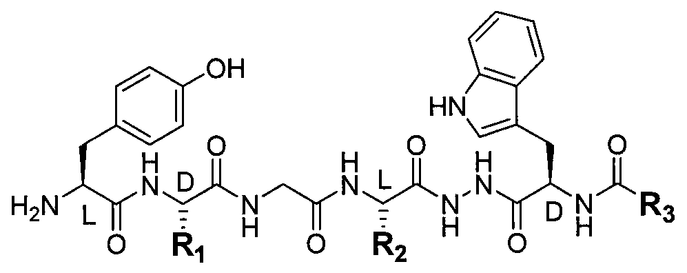 Method of producing a novel opioid peptide