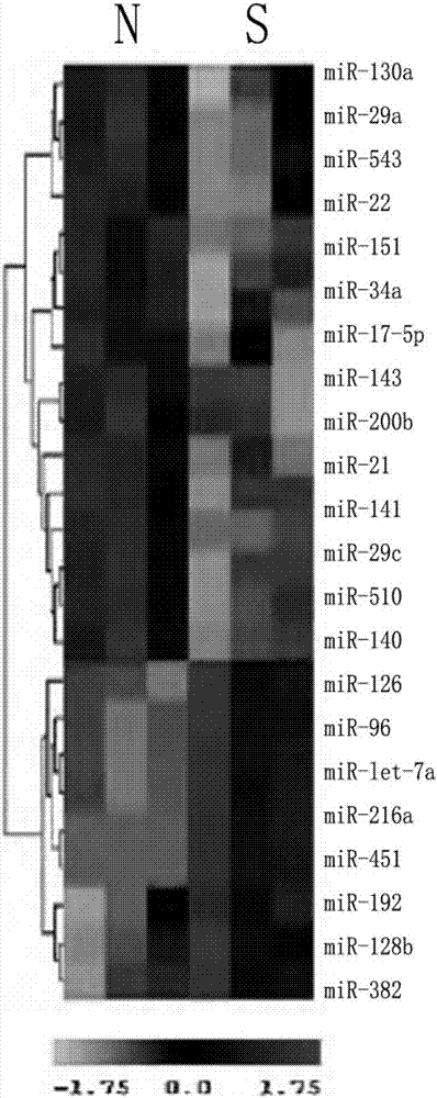 Method of detecting radiosensitivity of lung cancer cells on x ray, chip and application