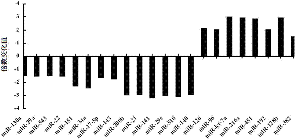 Method of detecting radiosensitivity of lung cancer cells on x ray, chip and application