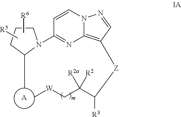 Macrocyclic compounds as trk kinase inhibitors