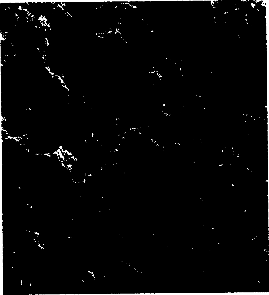 Method for modifying surface of graphite particle