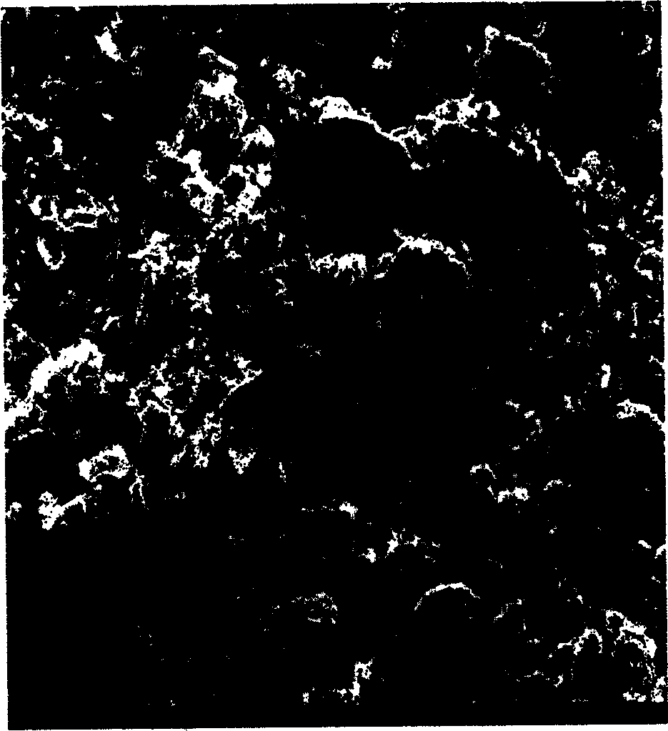 Method for modifying surface of graphite particle