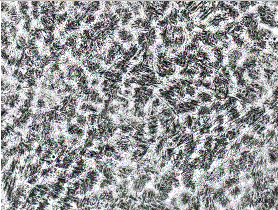 Ultra-supercritical martensite heat resisting cast steel original austenite grain size display method