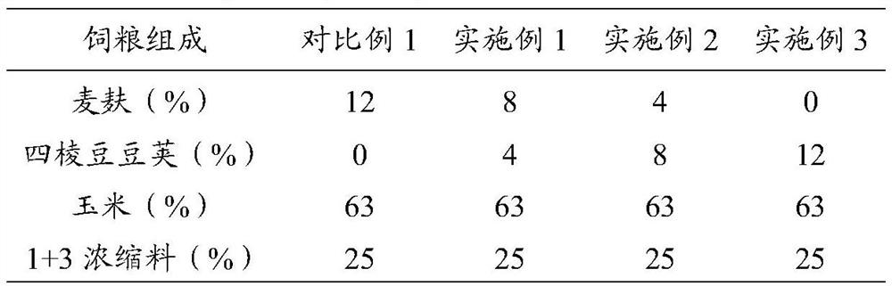 Feed containing winged bean pods and preparation method of feed