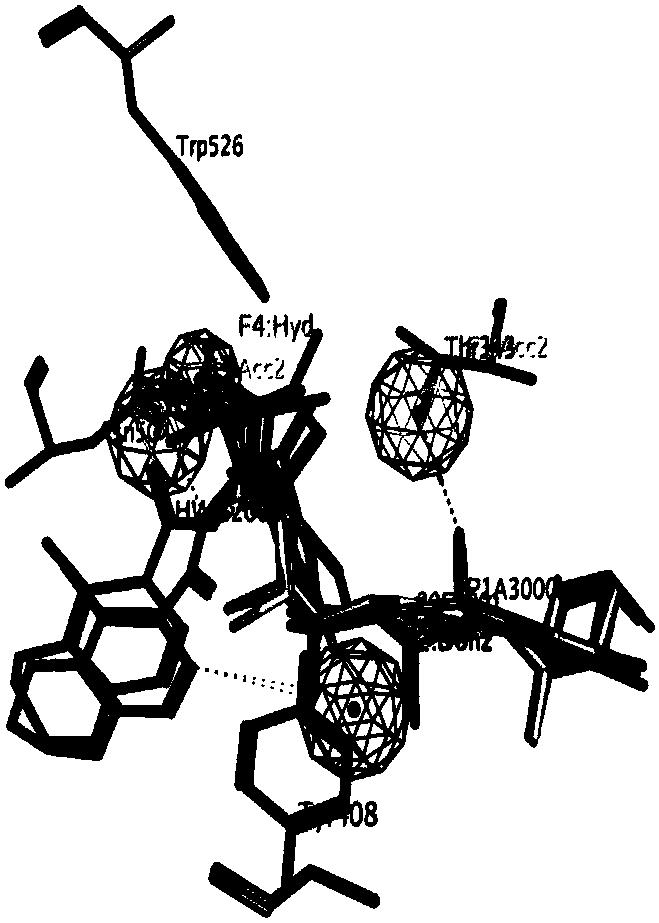 Screening method of ecdysone analogue and lead compound